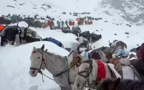 Lugare�os auxiliaron con sus caballos y yaks a los alpinistas varados en el Everest.