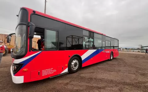 Buses el�ctricos.