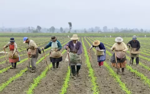 Agricultura de las Am�ricas.