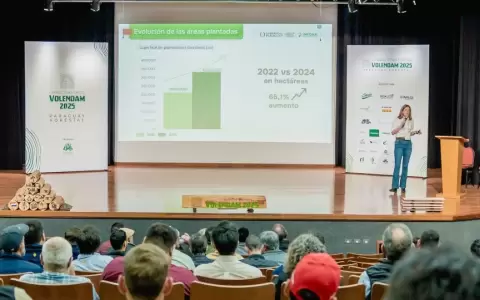 INFONA present� el informe "Perfil y perspectivas del sector forestal paraguayo: Crecimiento, retos y oportunidades".