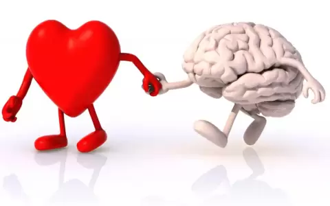 Sapiosexualidad.
