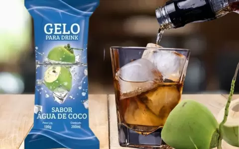 Emprendimiento Hielo Coco.