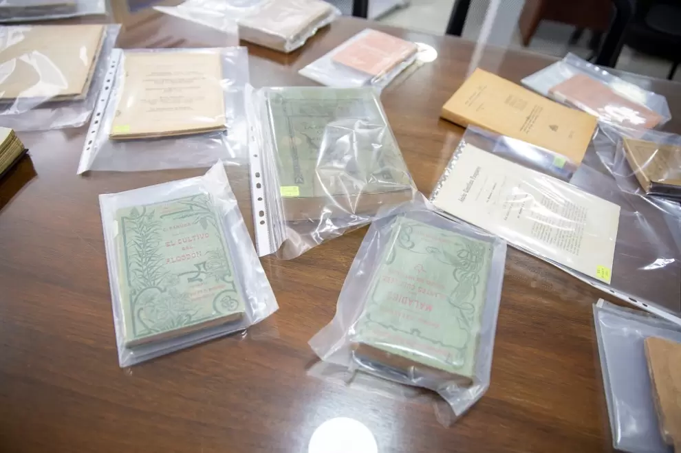 Archivo de Mois�s Bertoni.