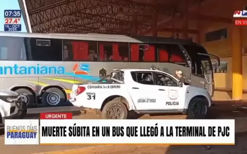 Terminal de PJC.