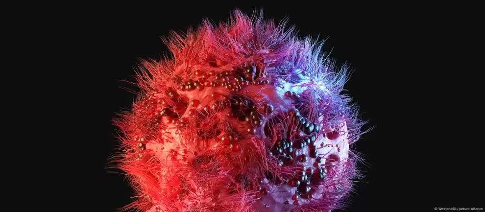 El reci�n descubierto anticuerpo 04_A06 neutraliza el 98 % de variantes de VIH. Lo que aumenta la esperanza para prevenci�n y tratamiento del sida.