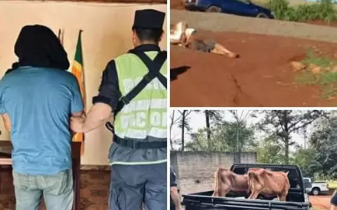 El capataz confes� haber simulado el robo de dos vacas para encubrir ventas ilegales.