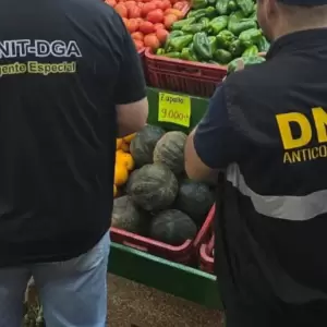 Acusan a la DNIT de decomisar cebollas paraguayas bajo pretexto de contrabando