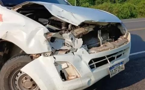 La camioneta sufri� da�os tras el choque con la vaca en la Ruta PY04.