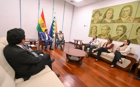 Luis Arce junto a miembros de la misi�n de observadores de la OEA.