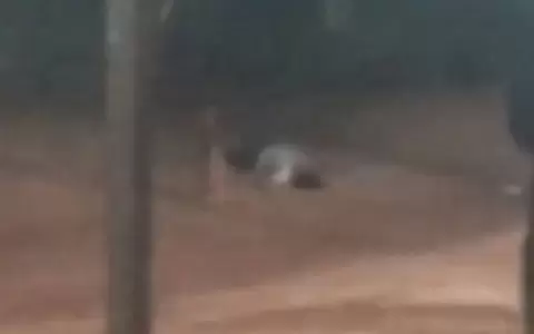 La v�ctima intent� calmar una pelea y termin� recibiendo un disparo fatal.