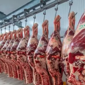 Precios de la carne no dan respiro: registro sectorial contradice al BCP