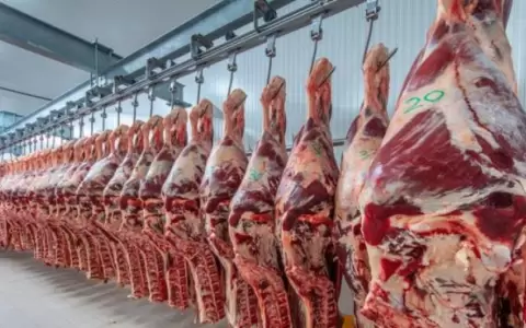 Exportaci�n de carne y menudencia vacuna.