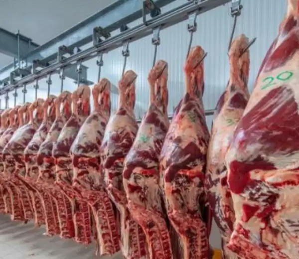 Exportaci�n de carne vacuna.