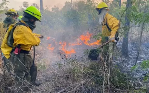 Bomberos forestales combaten el fuego en Bah�a Negra, cerca de la frontera con Bolivia.