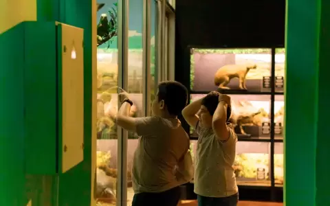 Museo Nacional de Historia Natural del Paraguay.