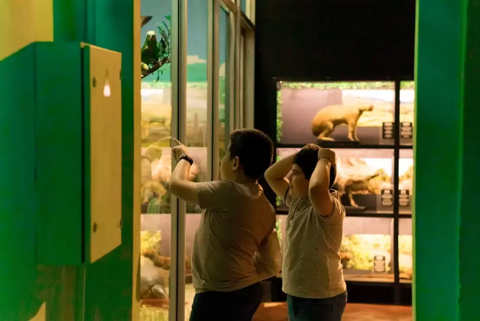 Museo Nacional de Historia Natural del Paraguay.