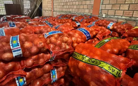 Cebollas incautadas por la DNIT.