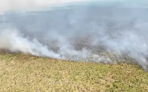 El fuego avanza sobre pastizales y palmares en Bah�a Negra, dentro del Parque Nacional R�o Negro.