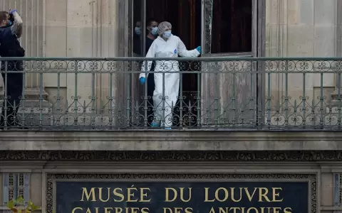 Se realizaron m�s de 150 muestras tras el robo del Museo de Louvre.