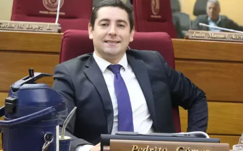 Diputado, Pedro G�mez.