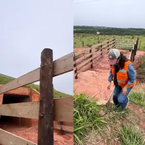 Titular del MOPC inaugura peque�o t�nel para vacas en ruta de Curuguaty