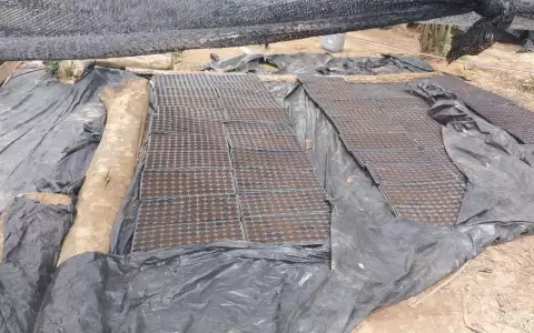 Agentes de la SENAD y la Polic�a Federal destruyeron un laboratorio de marihuana "Ice" en Alto Paran�.