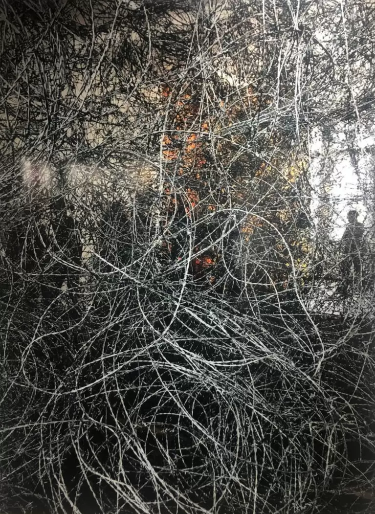 Obra de Alejandra Mastro. Cortes�a