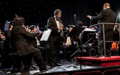 Festival Internacional de Clarinetes. Edici�n anterior.
