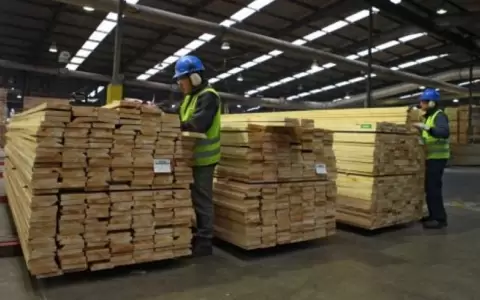 Exportaciones de Madera.