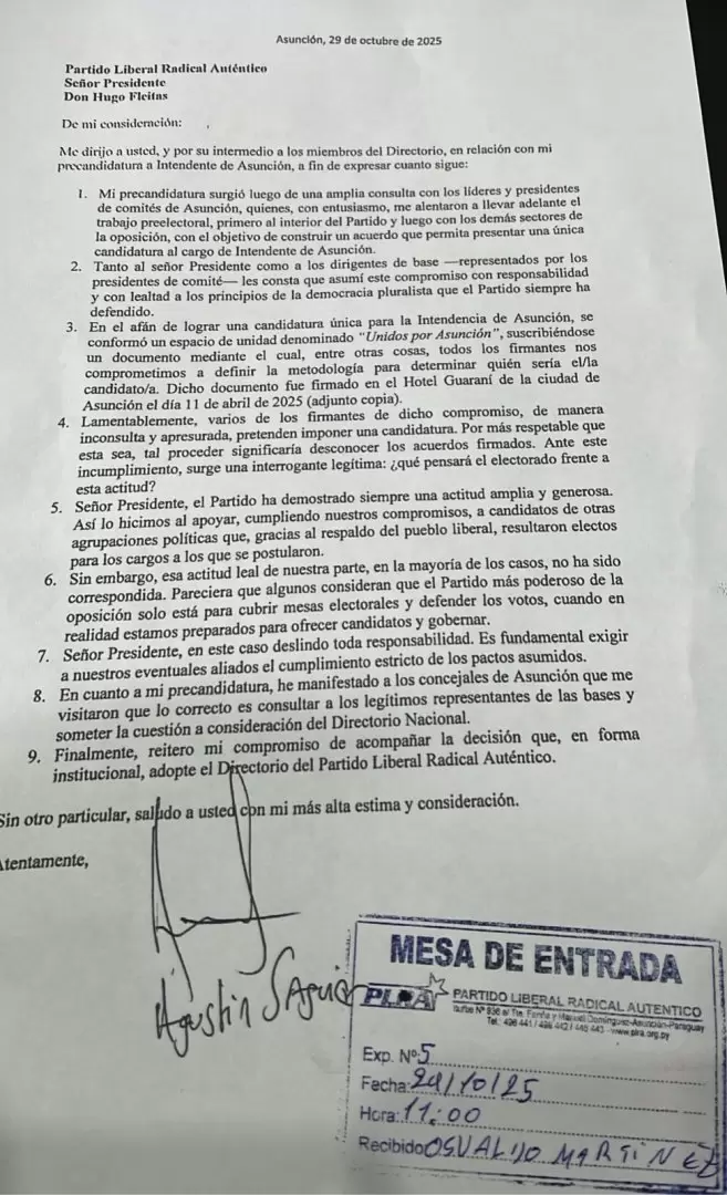 Nota que present� Saguier al PLRA.