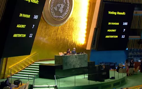 Asamblea General de las Naciones Unidas.