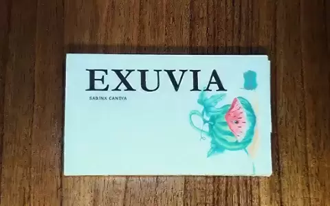 "Exnuvia" de Sabina Candia.