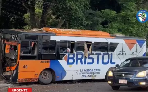 El bus qued� incrustado contra un �rbol sobre Mariscal L�pez, generando caos en el tr�nsito.