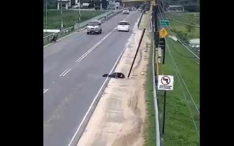 El trabajador cay� desde varios metros de altura mientras realizaba conexiones de fibra �ptica.