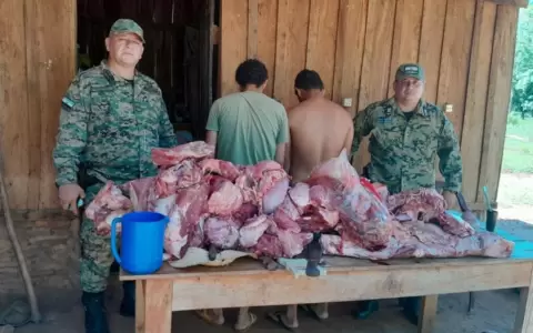 La Polic�a hall� carne vacuna guardada en un fr�zer y el cuero del animal enterrado en un bosque.