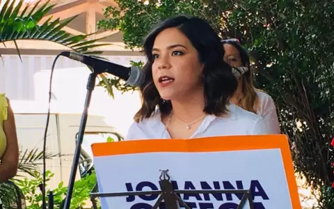 Diputada Johana Ortega.