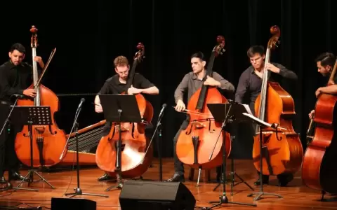Festival Internacional de Contrabajo. Edici�n anterior.
