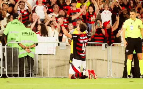 Flamengo da alcance a Palmeiras en el Brasileir�o y hunde al Santos de Neymar