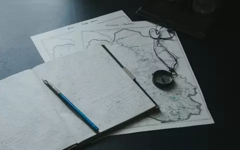 VI Curso Internacional de Escritura Cient�fica.