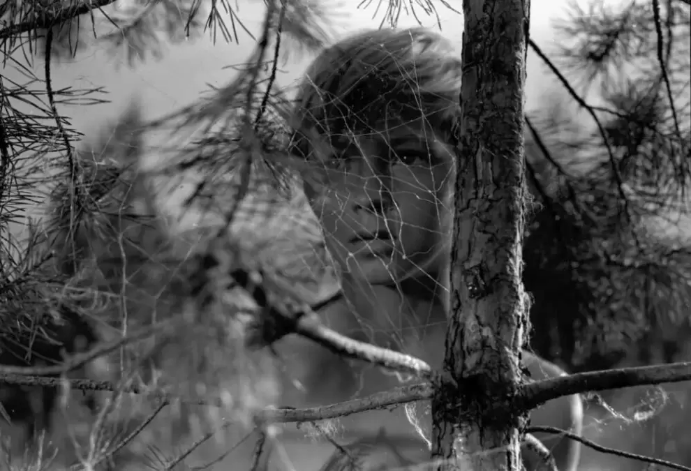 La infancia de Iván (1962), del director Andrei Tarkovski.