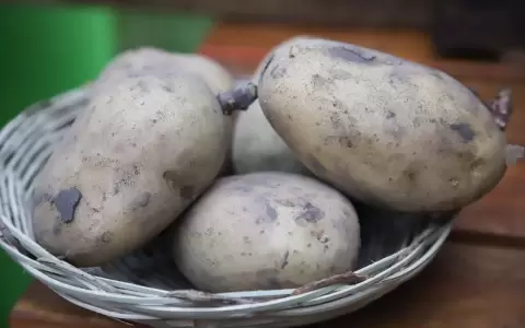 Papas.