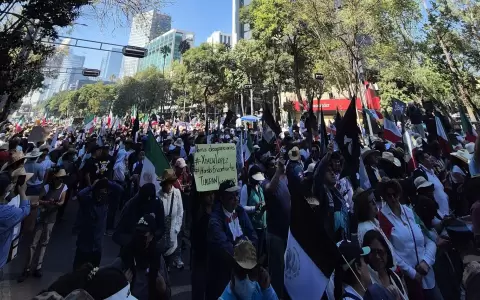 Manifestaci�n de Generaci�n Z en M�xico.