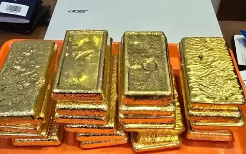Lingotes de oro.