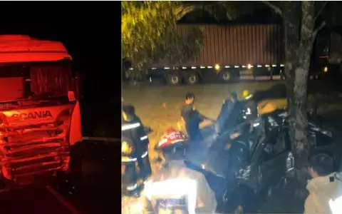 Veh�culo qued� incrustado contra un �rbol tras el violento impacto.