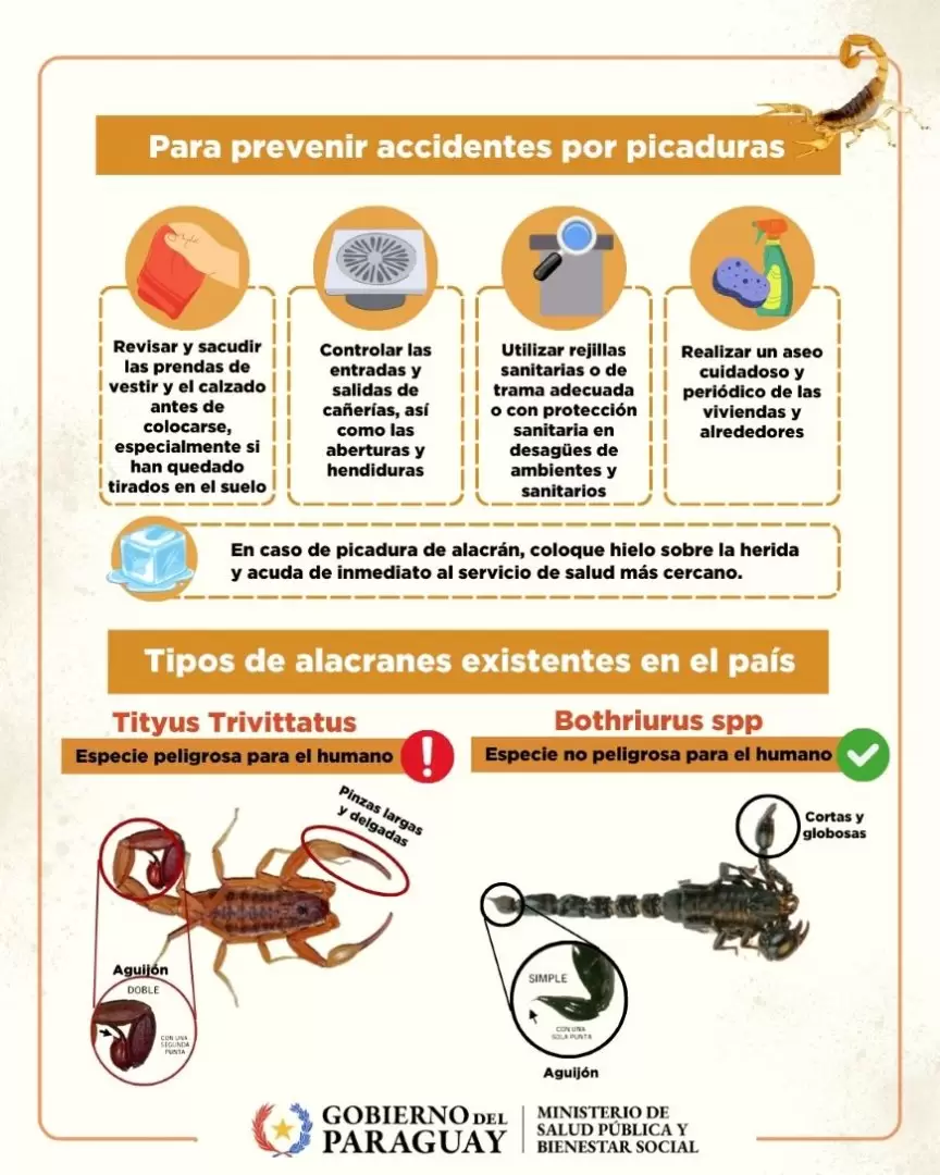 cuadro.alacranes
