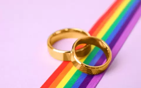 Matrimonio igualitario - gay.