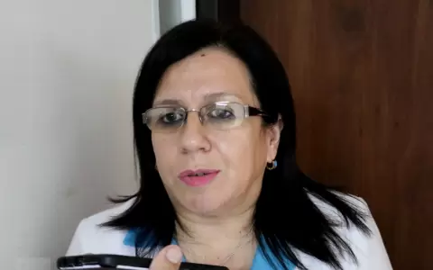Mirna Gallardo, presidenta del gremio, denuncia la retenci�n del bus con enfermeros.