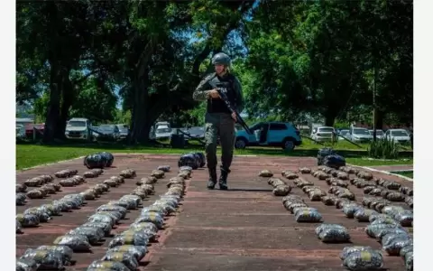La marihuana incautada estaba oculta dentro de un cami�n de cargas generales proveniente de Itaugu�, Paraguay.