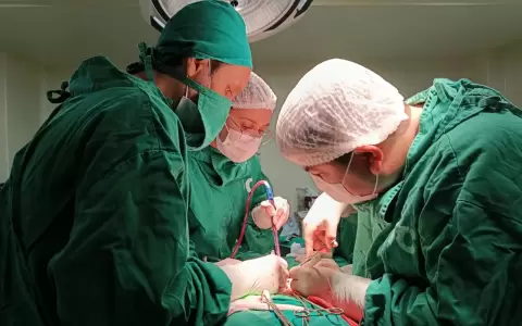 Equipo m�dico de Cl�nicas durante el procedimiento de trasplante.