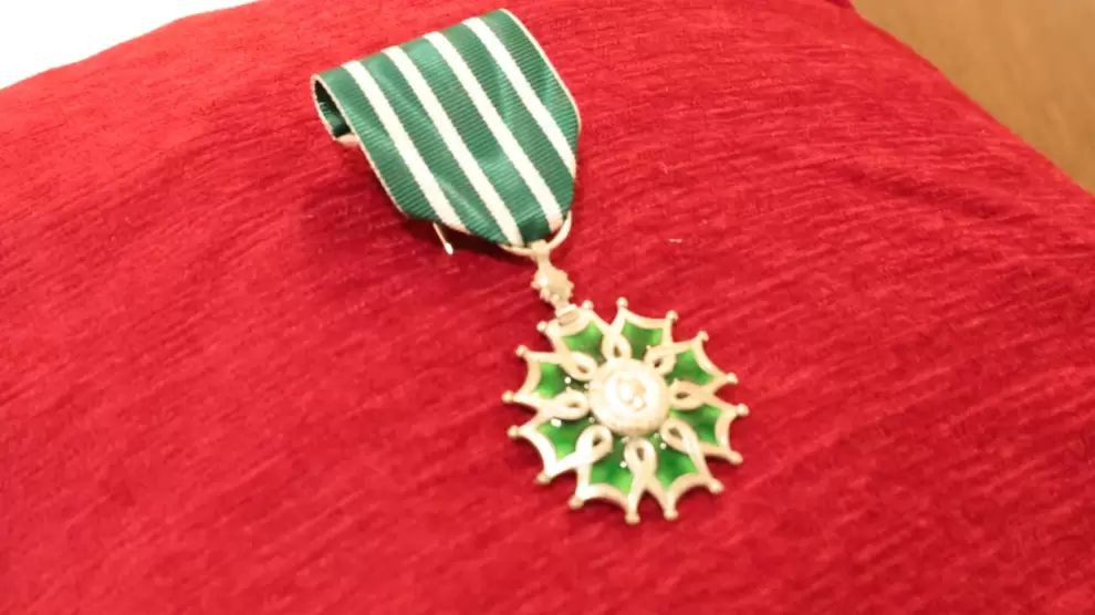 La medalla de Caballero de la Orden de las Artes y las Letras.